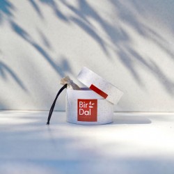 Gülen Güneş Harf Kolye