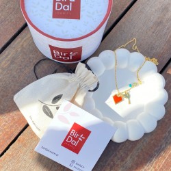 Kalp & Kırlangıç Kuşu Doğal Şans Taşı Kolye | 925 Gümüş Kalp & Kırlangıç Kuşu Doğal Şans Taşı Kolye | 925 Gümüş