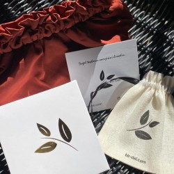 Kırlangıç Kuşu Doğal Turkuaz Şans Taşı Kolye | 925 Gümüş Kırlangıç Kuşu Doğal Turkuaz Şans Taşı Kolye | 925 Gümüş